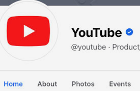 A close up of the youtube logo on a page.