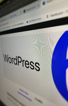 A close up of the word wordpress on a computer screen.
